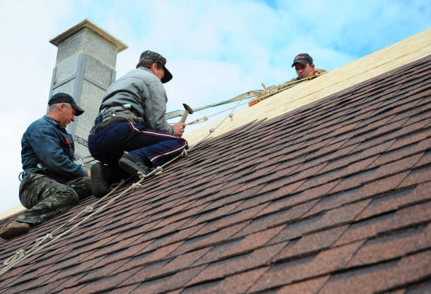 Best Gutter Installation and Roofing  in Winchester, CA